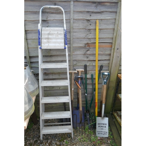 494 - Good collection of garden tools together with a pair of steps