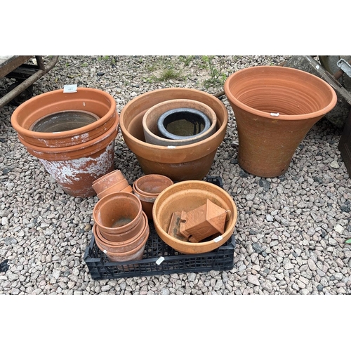 491 - Terracotta plant pots