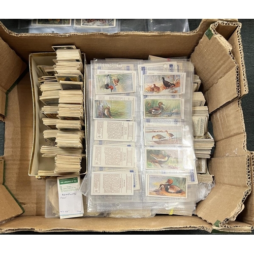 234 - Large box of tea cards