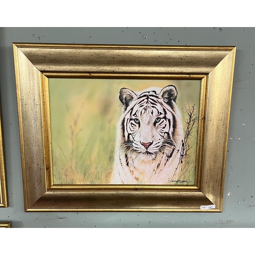 372 - 3 oil on board paintings of big cats by Don Styler