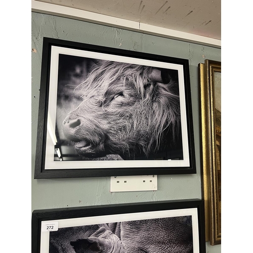272 - 2 black and white framed photos of a Highland cow and a rhino by White Wall Media