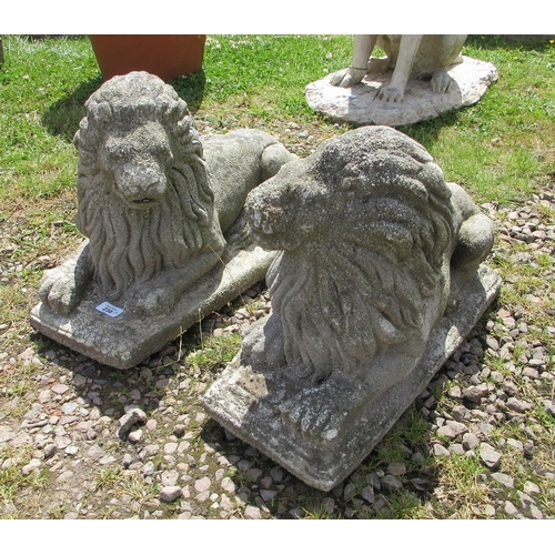 230 - Pair of stone carved lions