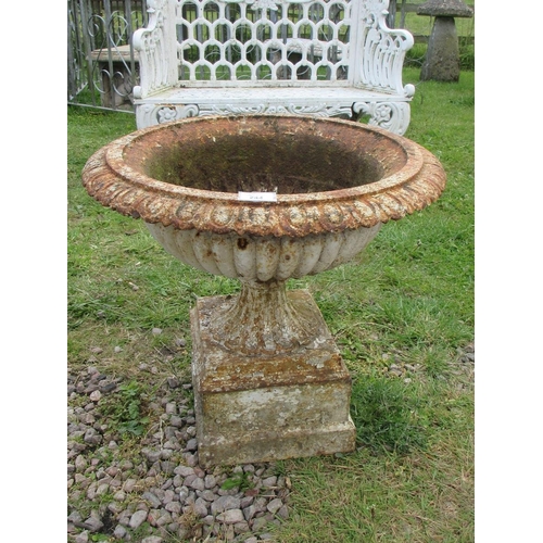 244 - Cast iron planter on pedestal