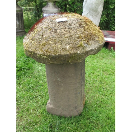 255 - Small staddle stone - Approx Height: 55cm