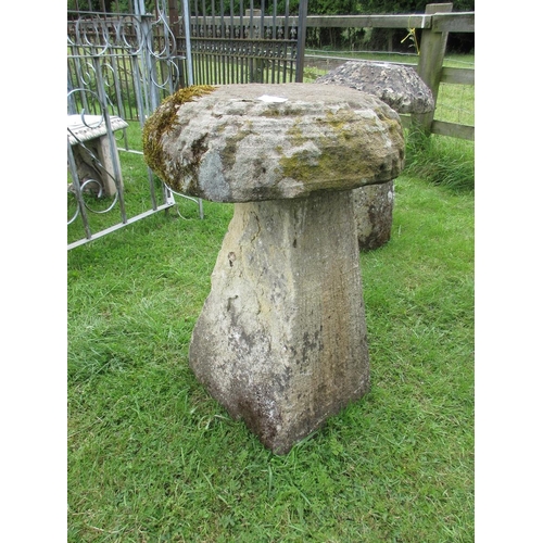 257 - Large staddle stone - Approx Height: 78cm