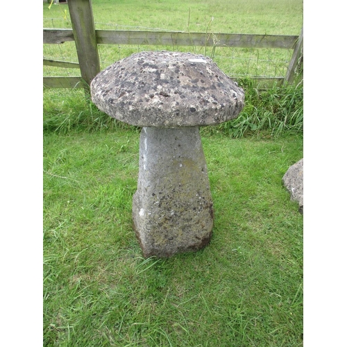 258 - Large staddle stone - Approx Height: 78cm
