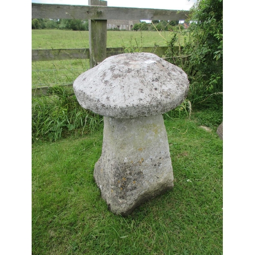 259 - Large staddle stone - Approx Height: 75cm