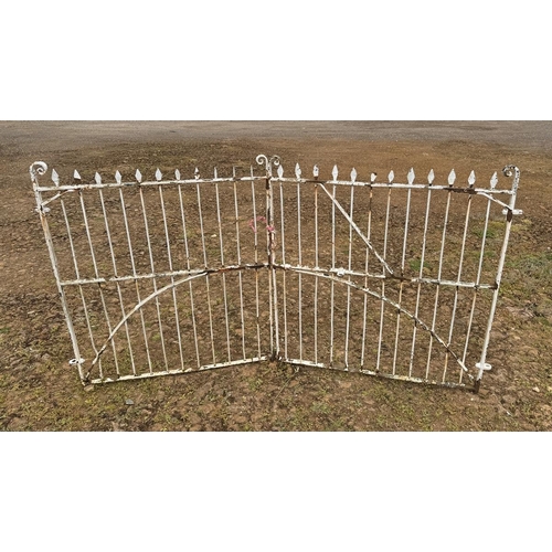 274 - Pair antique wrought iron garden gates - Approx size: 320cm x 107cm