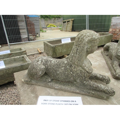 153 - Pair of stones Sphinxes on York stone plinths and carved leg base - Approx W: 153cm D: 76cm H: 81cm