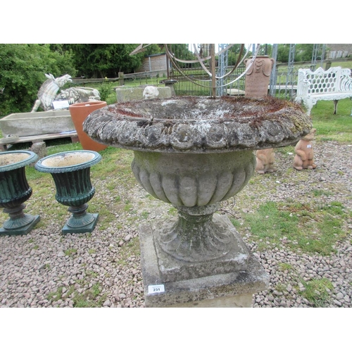 231 - Well aged stone planter on plinth 