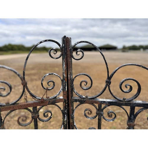 269 - Pair wrought iron garden gates - Approx size: 305cm x 152cm
