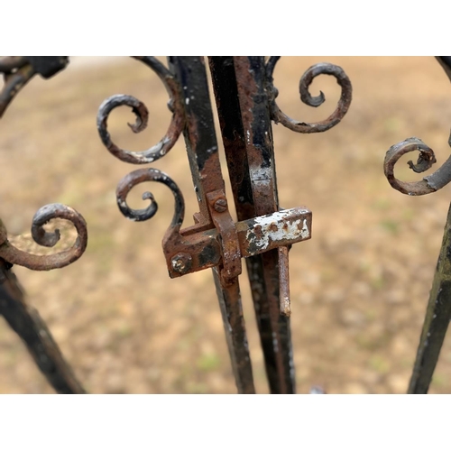 269 - Pair wrought iron garden gates - Approx size: 305cm x 152cm
