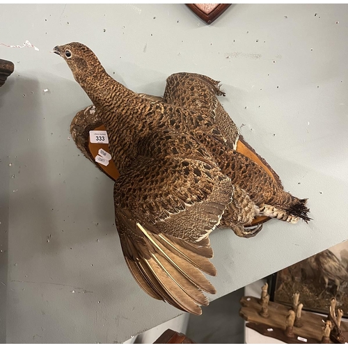 333 - Wall mounted flying grouse