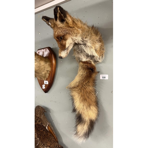 335 - Taxidermy - Fox head and brush