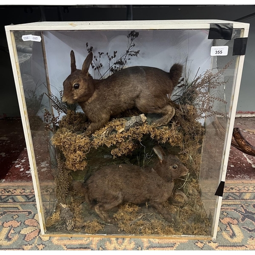355 - Taxidermy - 2 cased melanistic rabbits - Approx size: L: 55cm W: 25cm H: 64cm