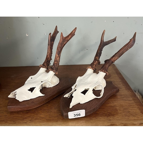 356 - 2 pairs of Roe deer antlers