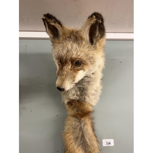 336 - Taxidermy - Fox mask and brush