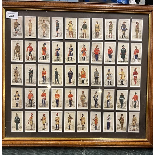 245 - Collection of cigarette cards in 2 frames