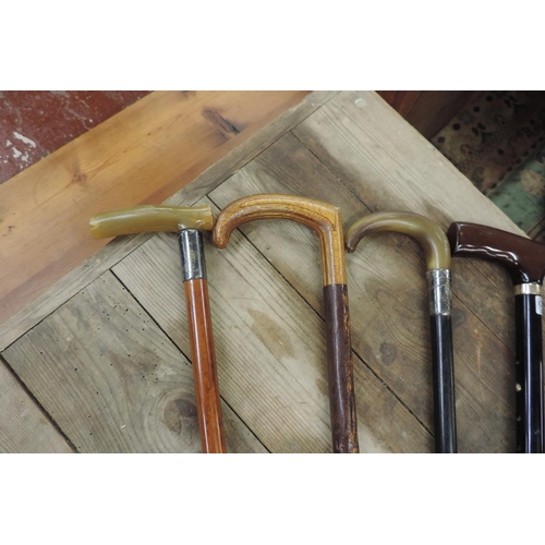 301 - Collection of walking sticks