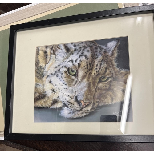318 - Collection of big cat prints - some L/E