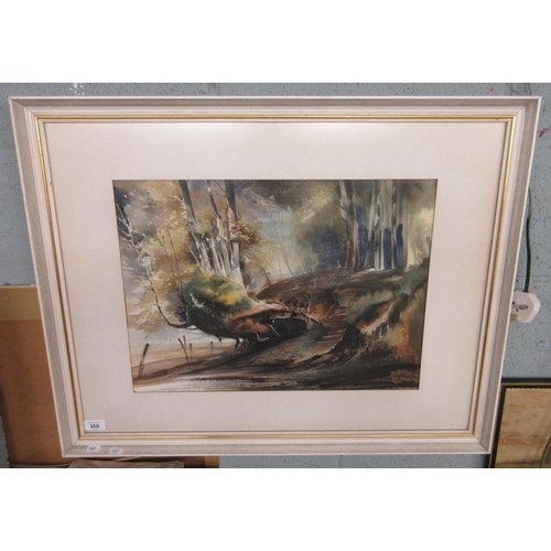 300 - Framed watercolour of a forest path by F Drinkwater - Approx image size 36cm x 50cm