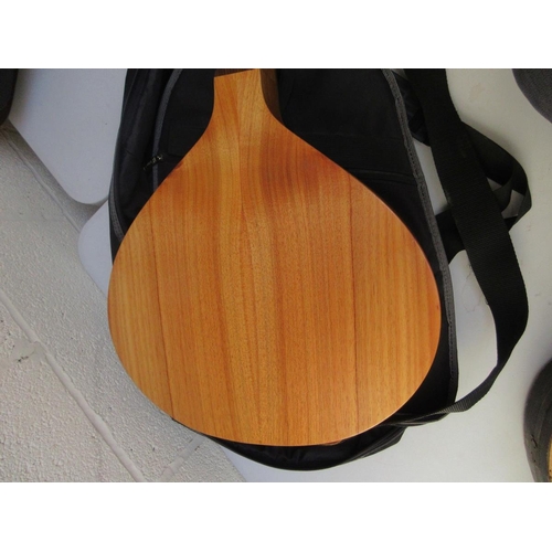 416 - Flat backed guitar - Guitar cittern