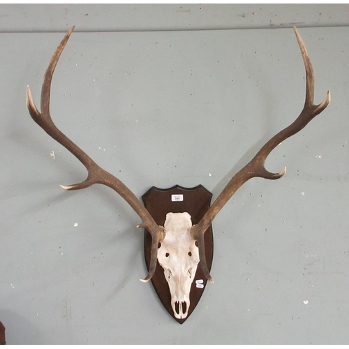 349 - Wall mounted antlers