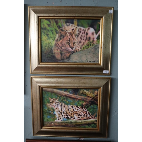 312 - 2 Don Styler original oils of big cats - Approx image size: 39cm x 29cm