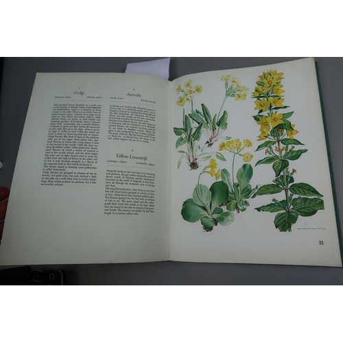 238 - Flowers in Colour - 60 plates in 10 colours after the originals by Hans Schwarzenbach