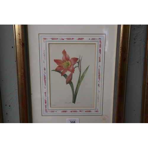 308 - Set of 6 botanical prints