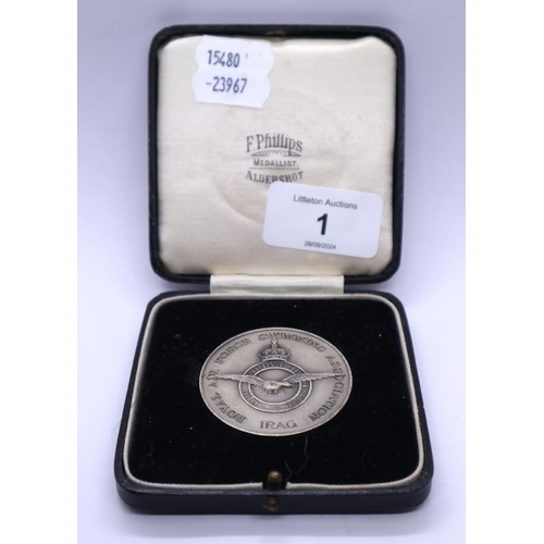 1 - RAF swimming association medallion