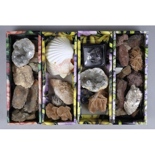 209 - Collection of minerals to include quartz, shells etc