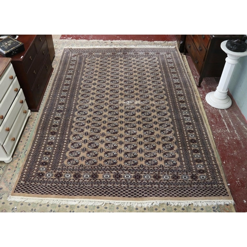 360 - Large patterned rug