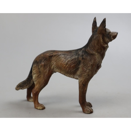 172 - Cold cast painted bronze figure of dog