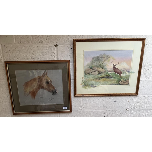 430 - Pastel of a horse signed Dennis together with a watercolour of a stag