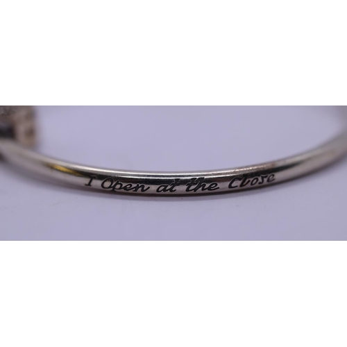 46 - Pandora L/E Harry Potter bangle with 2 charms