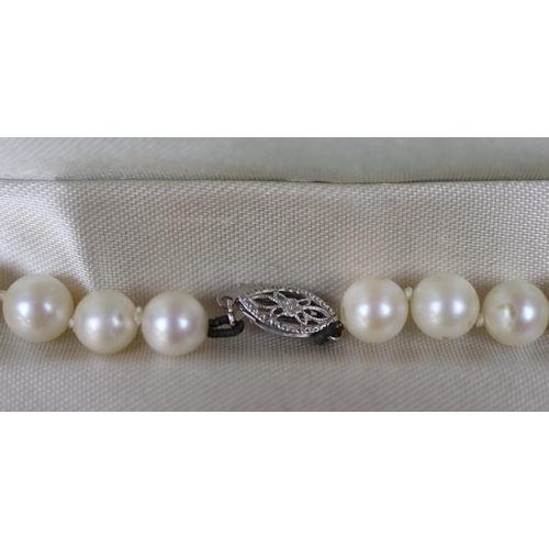 127 - String of cultured pearls in original box