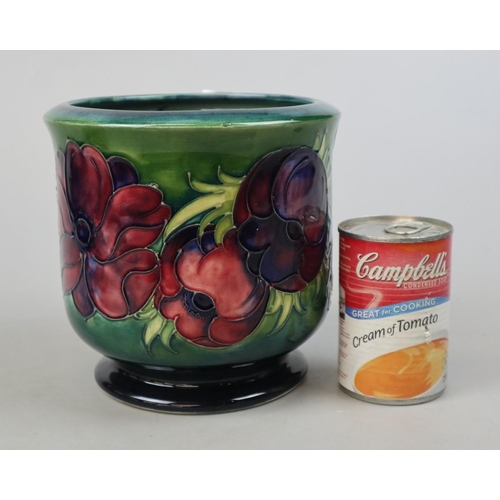 216 - Moorcroft jardinière - Approx H: 17cm