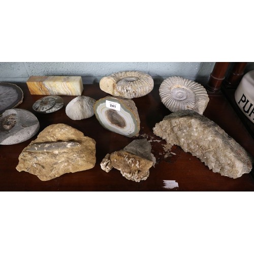 241 - Collection of fossils and geodes