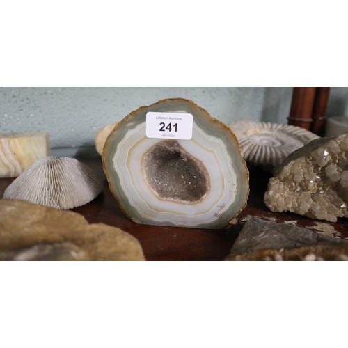 241 - Collection of fossils and geodes