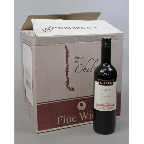 245 - 11 bottles of Chilean Merlot