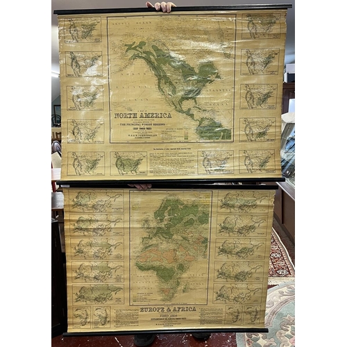 413 - 2 wall hanging antique maps of Europe & Africa & North America