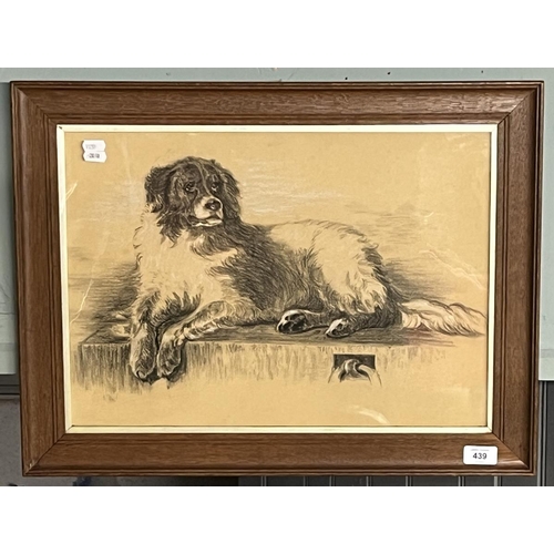 439 - Victorian dog pastel - Approx IS 48cm x 34cm