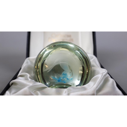 284 - Caithness paperweight L/E 53/100 - Dolphin in original box with signed certificate