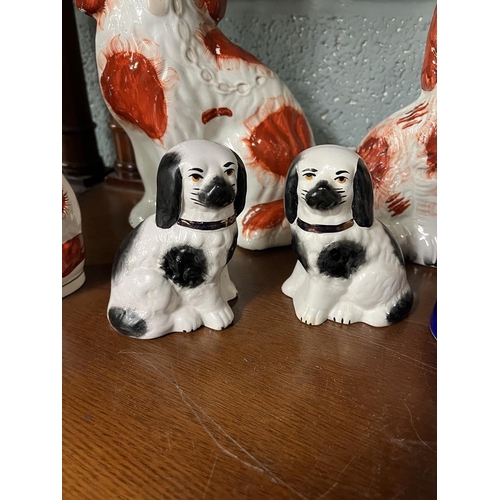 343 - Collection of Staffordshire dog figures