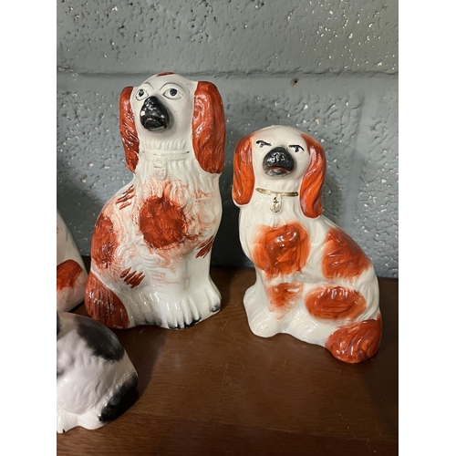 343 - Collection of Staffordshire dog figures