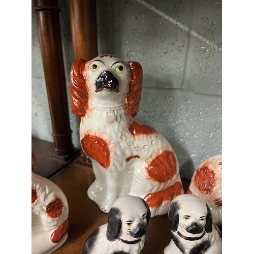 343 - Collection of Staffordshire dog figures