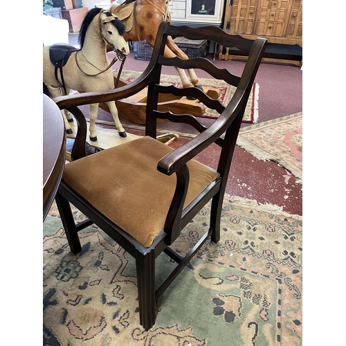 452 - Mahogany pedestal dining table with 5 ladder back dining chairs to include carver. Table approx L: 1... 