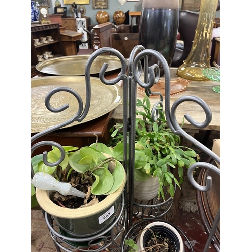 645 - Collection of plants in metal plant stand