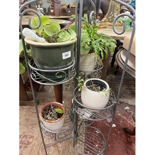 645 - Collection of plants in metal plant stand